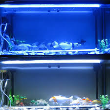 Aquarium Lights