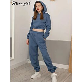 Thick Fleece Cropped Hoodie And Pants Set Women Autumn Warm Sweatpant 2 Piece Set Outfit Velvet Track Suit For Women Winter Blue