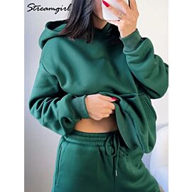 Winter Sweat Suit Set Women Fleece Hoodies Two Pieces Outfit Pants Sets Casual Loose Winter Warm Tracksuits For Women 2 Pieces